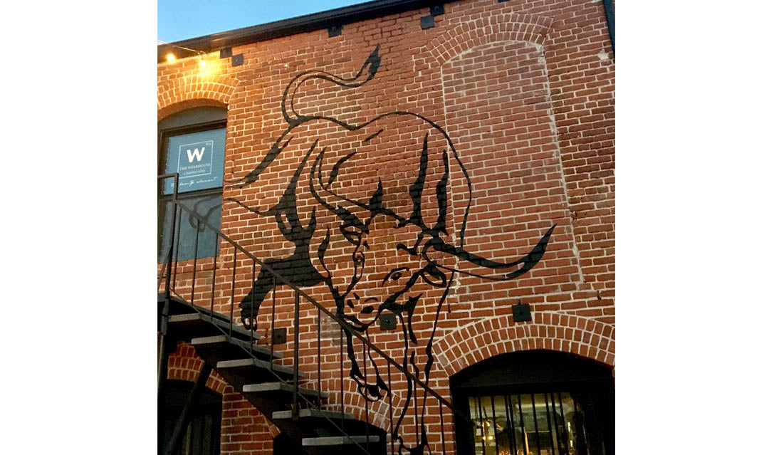 Paso Bull