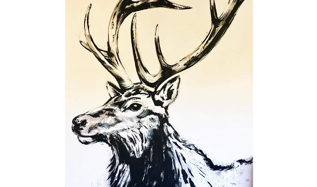 Five Point Bull Elk