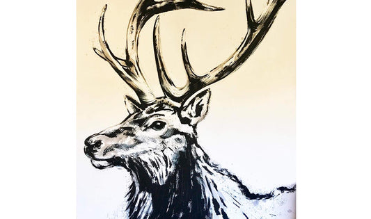 Five Point Bull Elk