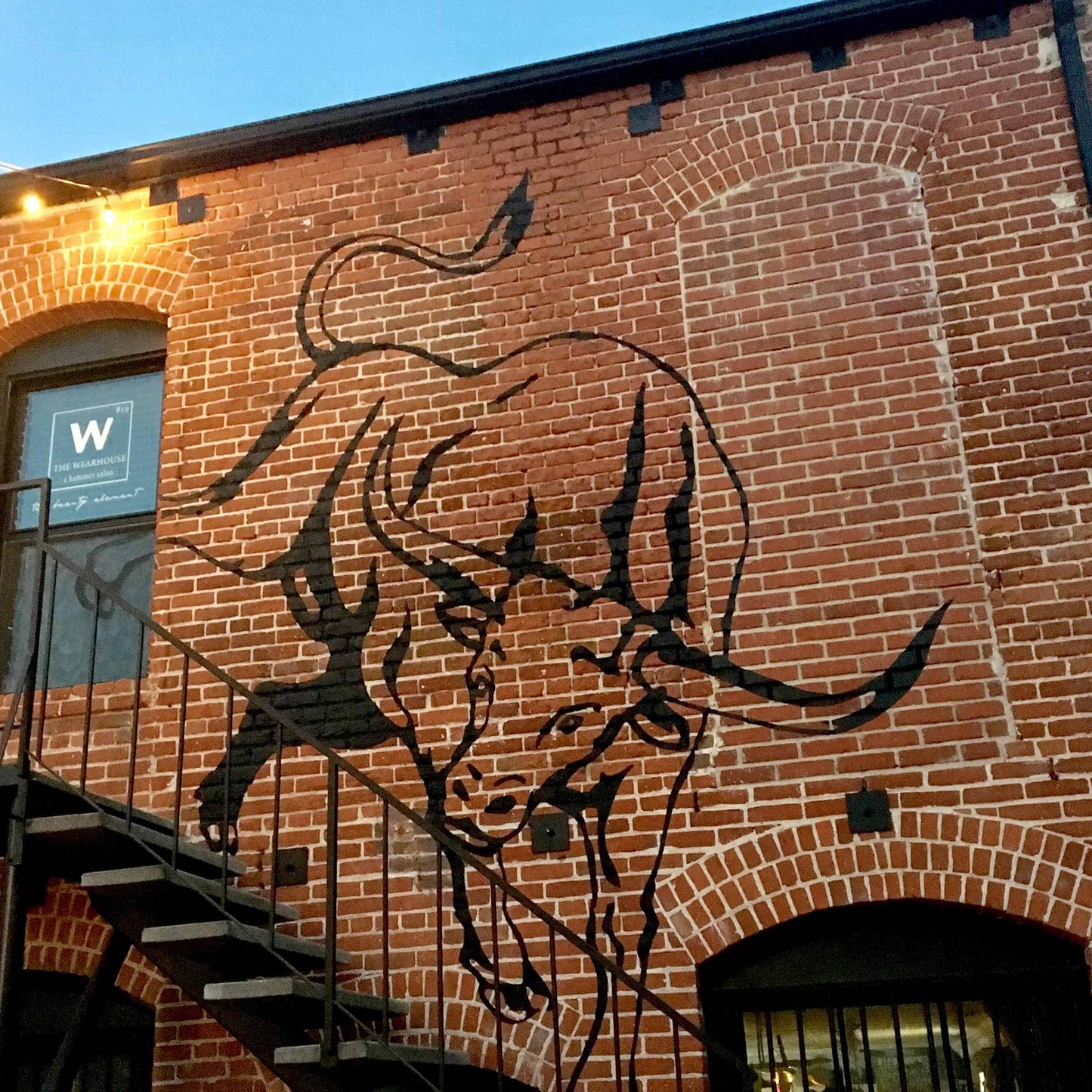 Paso Bull