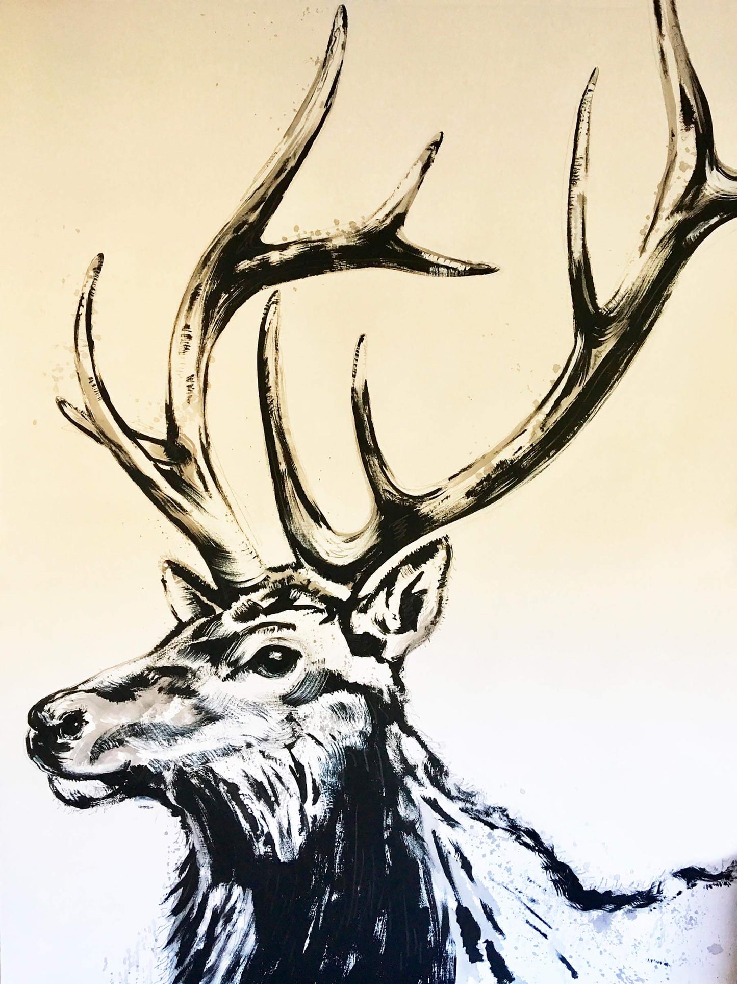 Five Point Bull Elk