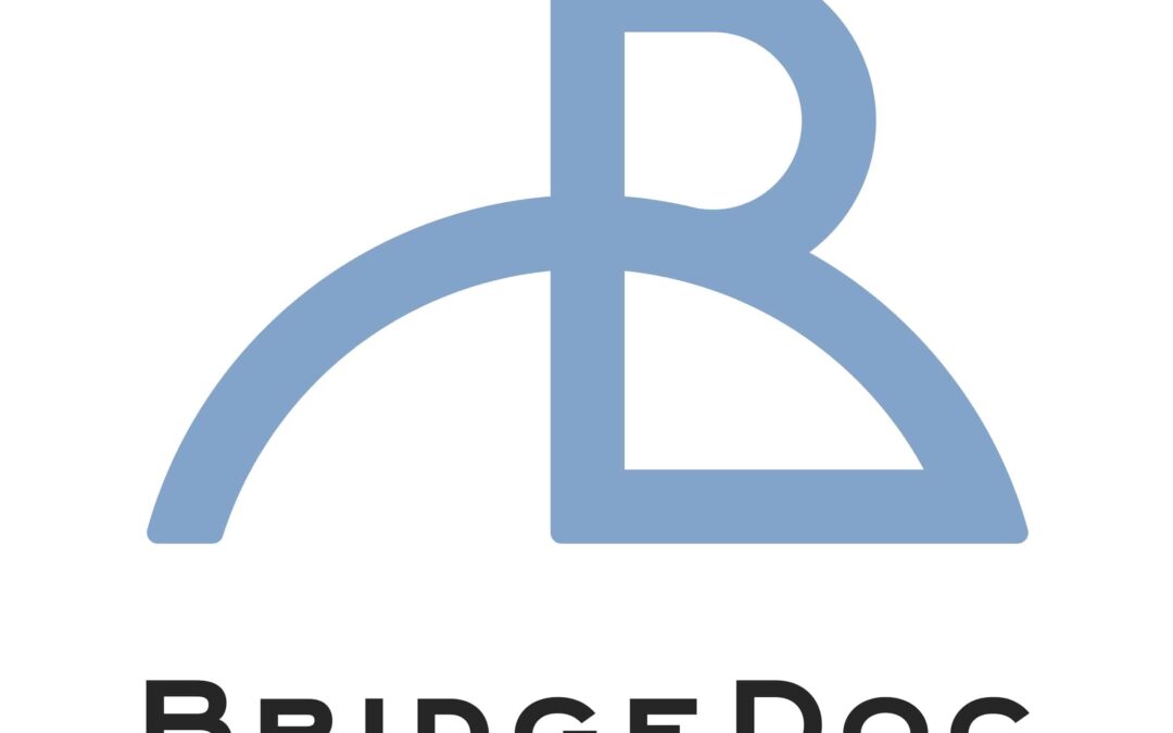 BridgeDoc